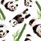 Exotic panda wild animal isolated. Watercolor background illustration set. Seamless background pattern.