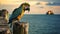 Exotic Parrot Perched On Old Pier: A Captivating Visual Storytelling