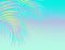 Exotic pastel multicolor palm leaves border for text.