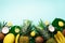 Exotic pineapples, ripe coconuts, banana, melon, lemon, tropical palm and green monstera leaves on blue background with