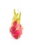 Exotic pink dragon fruit