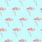 Exotic pink flamingo bird on blue seamless pattern