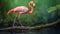 Exotic Pink Flamingo On Wood Branch - Photographic Carnivalcore Art