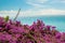 Exotic pink flowers and sea