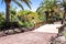 Exotic plants in the botanical garden in Oasis Park on Fuerteventura Canary island .