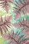 Exotic plants, brown fern leaves background