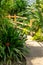 Exotic plants in the greenhouse in the sunshine