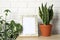 Exotic plants and photo frame near brick wall. Home decor