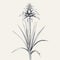 Exotic Realism: Monochrome Yucca Illustration On White Background