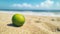 Exotic Realism: Uhd Image Of Lime On Sandy Beach