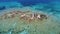 Exotic rocks on the sea surface with little ceramic church. Aerial view