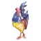 Exotic rooster farm animal in a watercolor style isolated. Aquarelle wild animal for background.