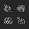 Exotic sea shells chalk white icons set on black background