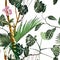 Exotic seamless pattern. Phalaenopsis variegata orchid tropical flowers and monstera palm leaves in summer print.
