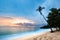 Exotic seascape with a palm tree leaning above the sea