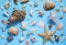 Exotic seashells and starfish collection flat lay.
