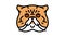 exotic shorthair cat cute pet color icon animation