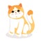 Exotic shorthair cat, sitting isolated. little sweet kitty. background vector illustration