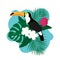 Exotic Toucan Bird, Colorful Hibiscus Flowers Blossom and Tropical Leaves