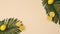 Exotic tropic decoration with palm leaves and sliced citrus lemons appear on sandy background. Stop motion