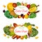 Exotic tropic fruits farm harvest, vector