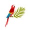 Exotic tropical ara bird, macaw. Big red parrot sitting on jungle palm brunch, leaf. Caribbean exotic character for t