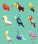 Exotic Tropical Birds Retro Icons Set