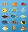 Exotic tropical fish race different breed colors underwater ocean species aquatic strain nature flat vector illustration