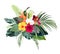 Exotic tropical flowers, orchid, strelitzia, hibiscus, anthurium, palm, monstera, calathea leaves