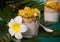 Exotic tropical fruit salad with muesli and yogurt in a glasses on the palm leaf