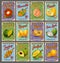 Exotic tropical fruits, farm market price cards