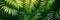 Exotic tropical jungle with lush palm leaves and trees panoramic wallpaper nature concept