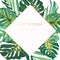 Exotic tropical jungle palm tree monstera green leaves. Square rhombus border frame card banner poster template.