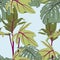 Exotic tropical leaves, light blue background.