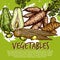 Exotic vegetables and edible roots, vector