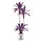 Exotic violet palm plant tree in the pot