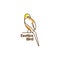 Exotics bird logo design vector