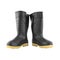 Expanded pair rubber black boot shoes
