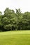 Expanded view of green grass meadow and trees