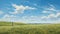 Expansive Midwest Grassland: A Hyperrealistic Meadow Painting