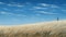 Expansive Midwest Grassland With Realistic Blue Sky - Digital Painting