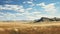 Expansive Midwest Grassland: Realistic Hyper-detailed Rendering