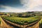 expansive panoramic shot of a sun-drenched vineyard in the countryside, with rows of grapevines, a charming winery