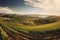 expansive panoramic shot of a sun-drenched vineyard in the countryside, with rows of grapevines, a charming winery