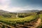 expansive panoramic shot of a sun-drenched vineyard in the countryside, with rows of grapevines, a charming winery