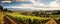 expansive panoramic shot of a sun-drenched vineyard in the countryside, with rows of grapevines, a charming winery panorama