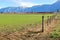Expansive Valley Land in BC Fraser Valley