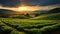 An expansive view of a soybean farm\\\'s agricultural field against a picturesque sky. AI Generated