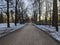 In this expansive winter scene, a wide path meanders through the city park