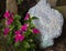 Expect Miracles garden stone with flowers